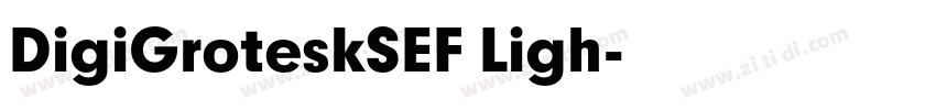 DigiGroteskSEF Ligh字体转换